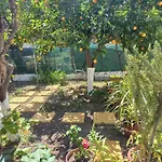 Maria's Garden House