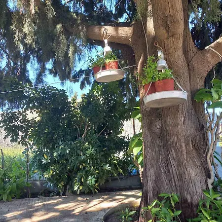 بيت للعطل Maria's Garden House أرخانجلوس