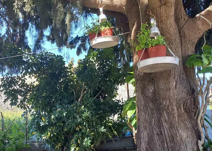 بيت للعطل Maria's Garden House أرخانجلوس