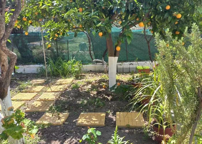 Maria's Garden House