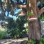 Сasa de vacaciones Maria's Garden House Archangelos (Rhodes)