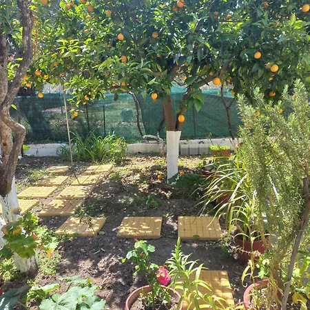 Maria's Garden House